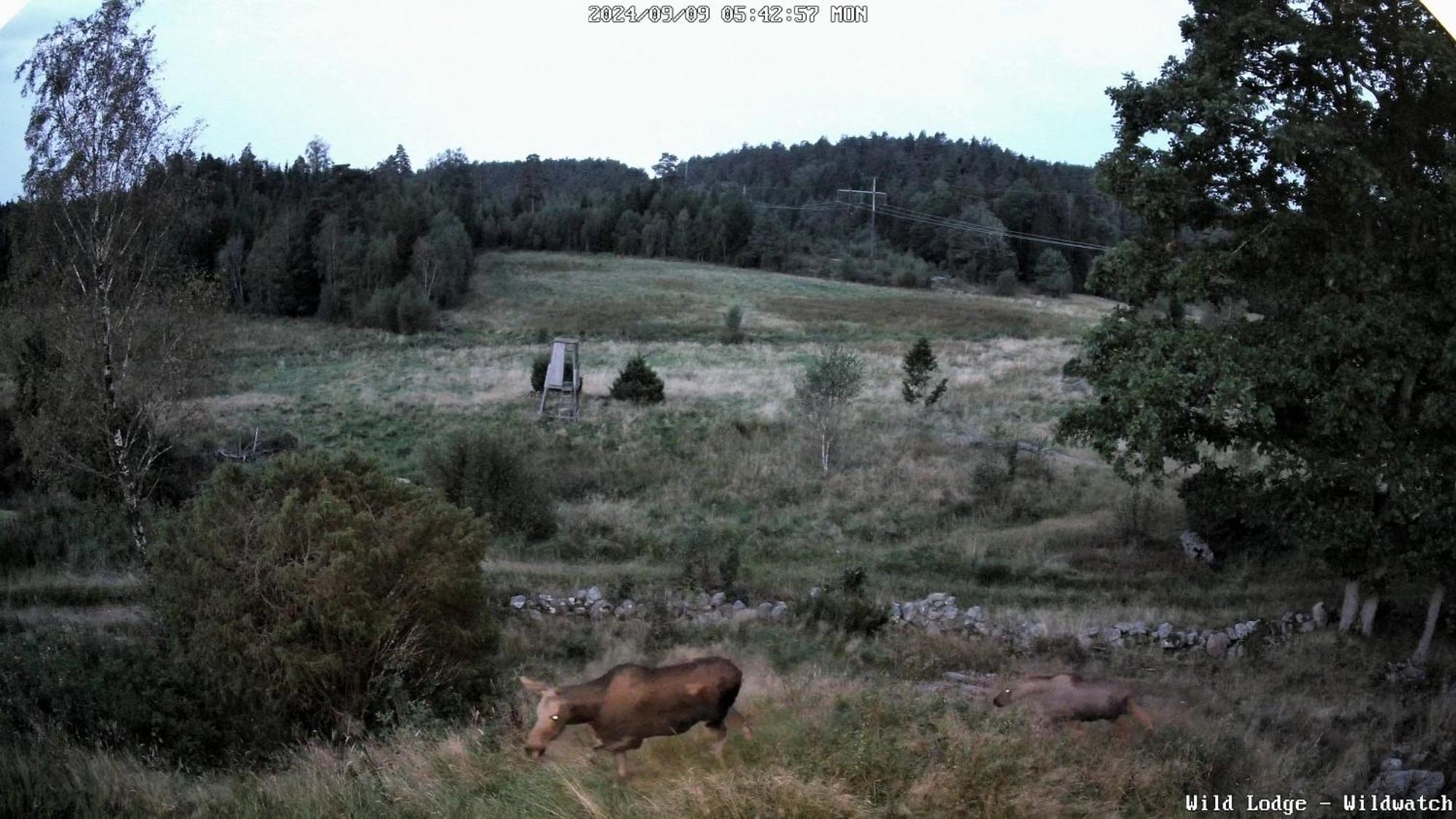 Wild Lodge Nol Bagian luar foto